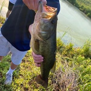 Meet your Posher, Cullen